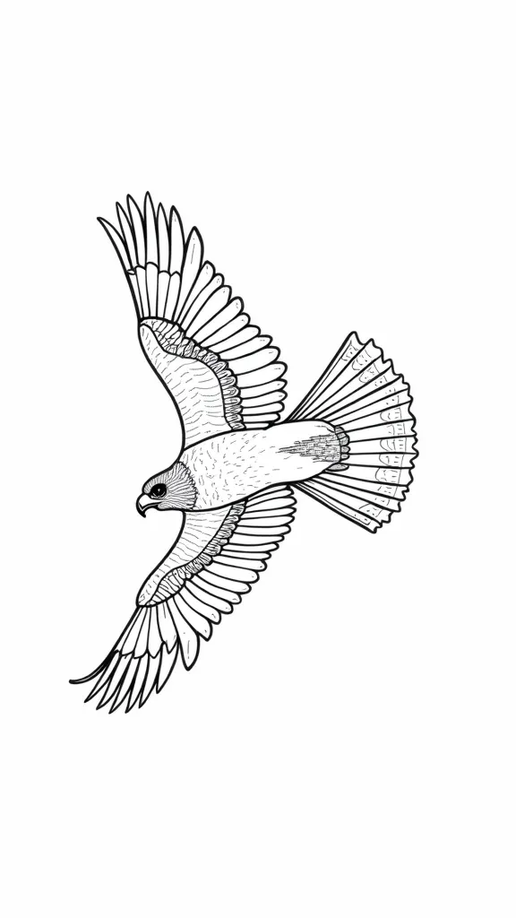 red tailed hawk coloring page